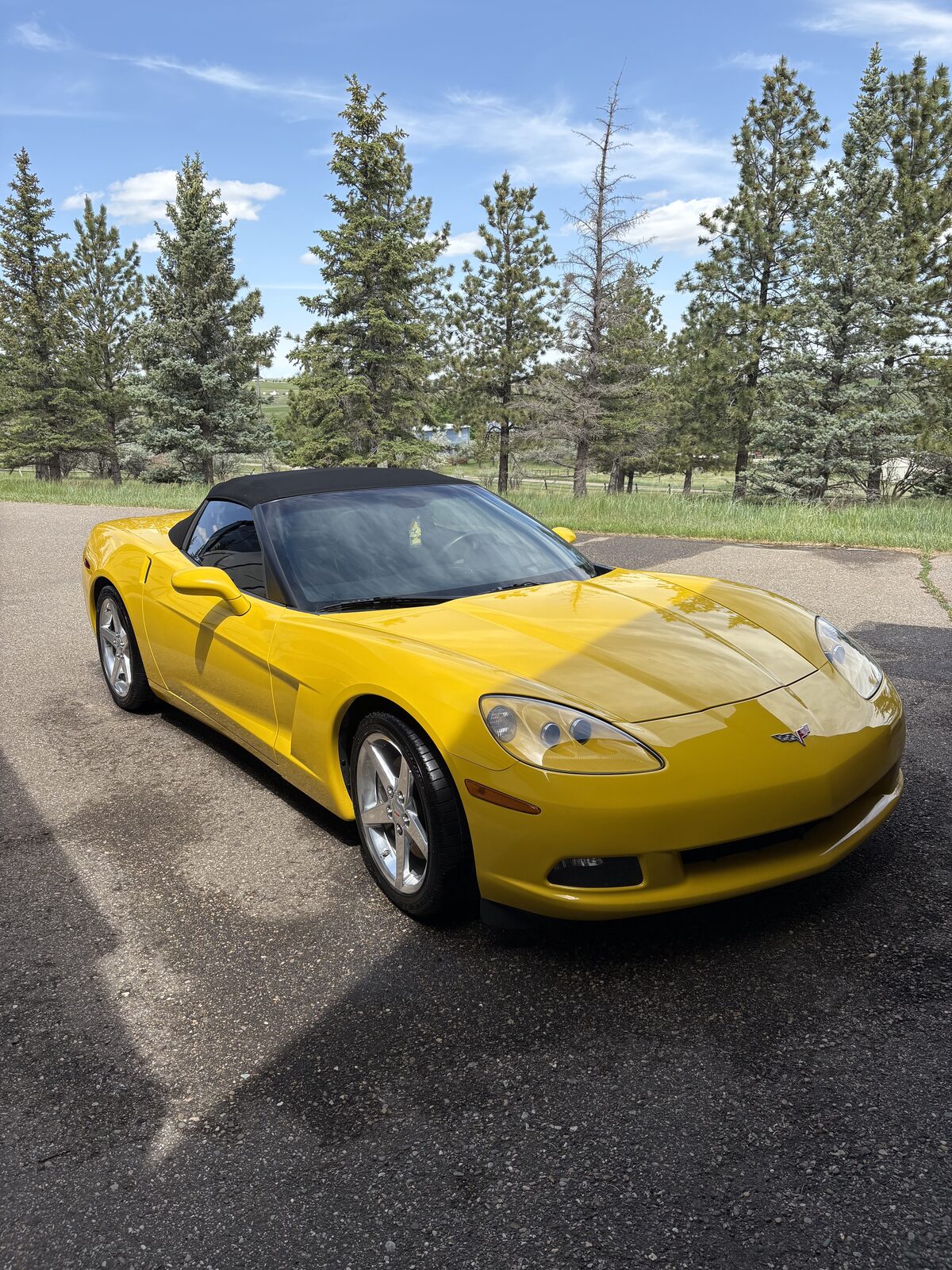 Premium auto detail — Great Falls, Montana